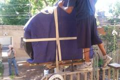 FB_IMG_1773435529402